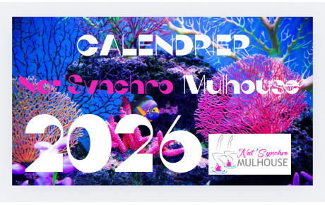 🏊‍♀️ CALENDRIER 2026 